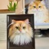 Custom Wool felt pet 3D photo frame portrait