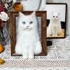 Wool felt Pet Photo Frame Portrait Half body