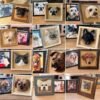 Wool Felted 3D Pet Full Body